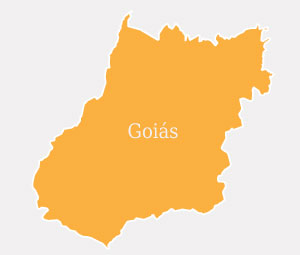 Mapa do estado de Goiás